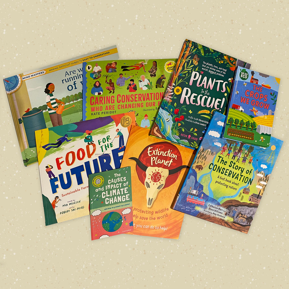 Sustainable Christmas Tree Decoration Award