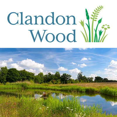 Clandon Wood