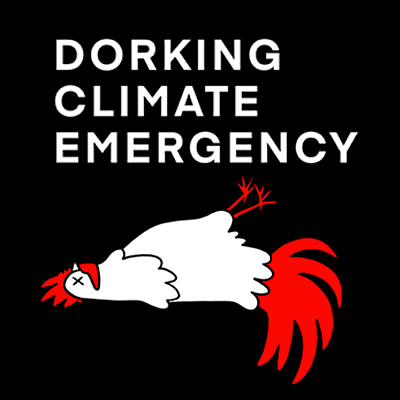 Dorking Climate Emergency