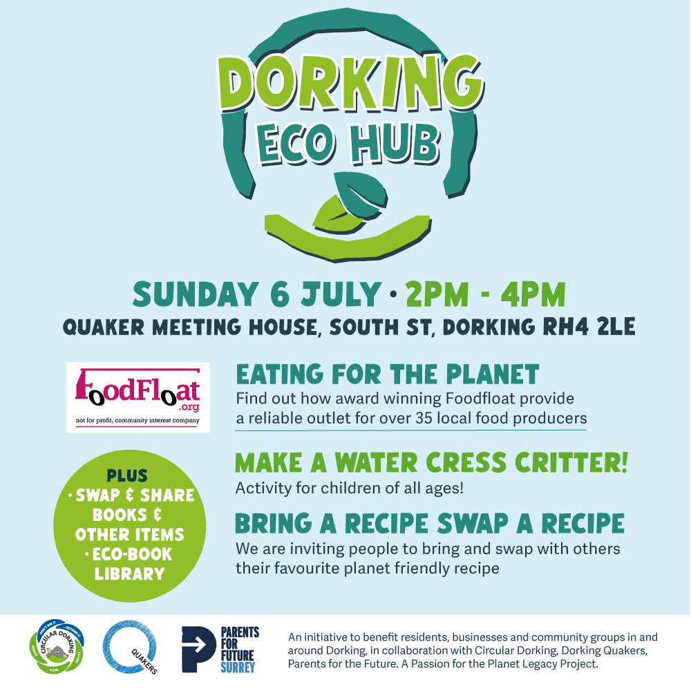 Dorking Eco Hub • The River in Summer