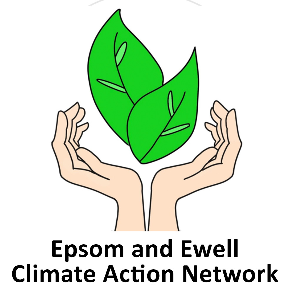 Epsom and Ewell Climate Action Network
