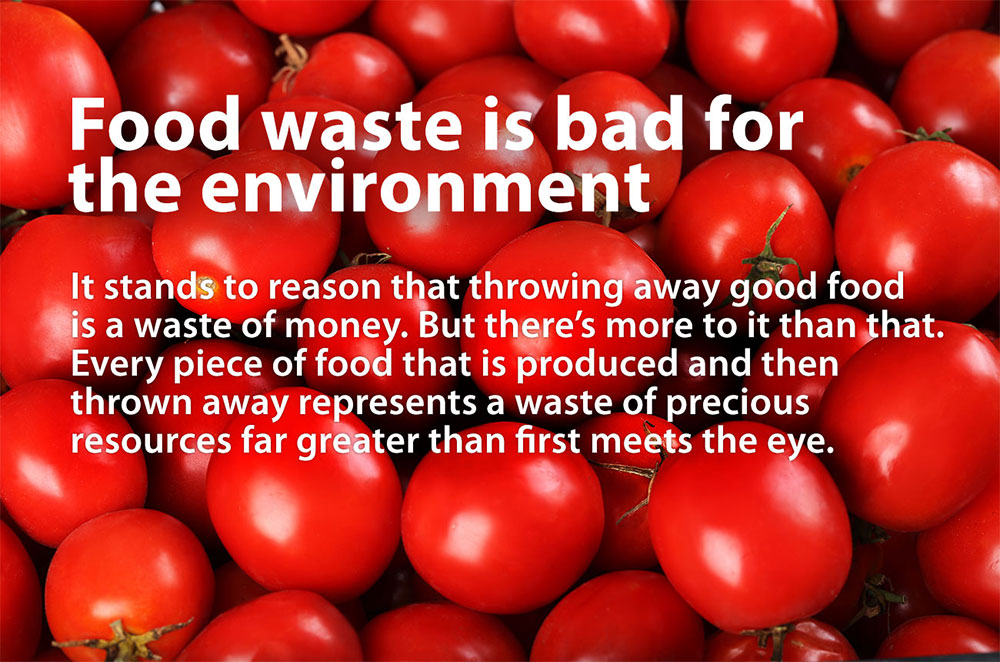 Mid Surrey Community Fridges CIC