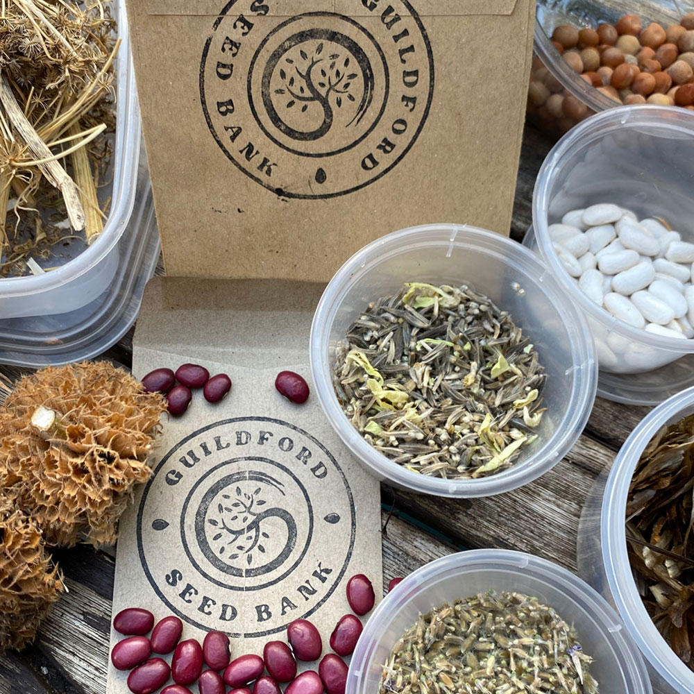 Guildford Seed Bank